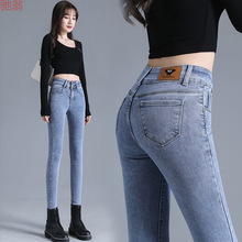 Y9Z�����ߓ�ţ��ѝŮ2024�����¿�W�t����������U�PѝС�_ѝ