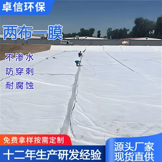 聚乙烯复合土工膜河道水库沉砂池尾矿堆砌长短丝两布一膜防渗膜