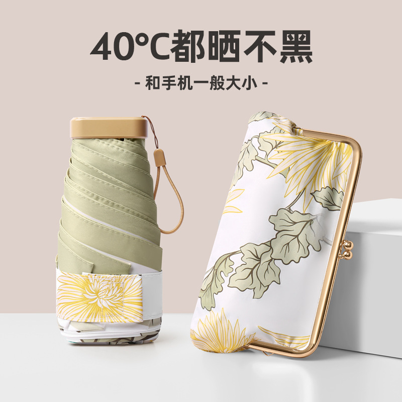 당신의 가방-금 fran (15CM 더 미니 태양 보호)