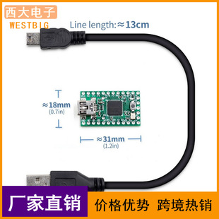 Teensy 2.0 USB AVR �_�l�� �I�P���ISP U�P���� teensy2.0