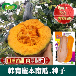 �۱��ϹϷN�� �r��ˈ@�������������L����Ϲ��߲˷N�����l