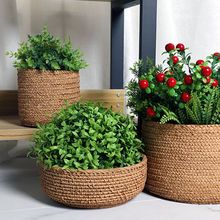 仿编织水泥盆栽艺术花盆水培圆形种植盆客厅装饰摆件厂家直销包邮