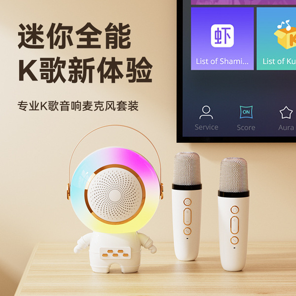 Wireless travel handheld speakers, microphone, bluetooth