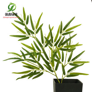 �^�z���z�� �^�z�����~ ��������~ ���~���b� �����������~