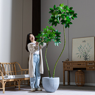 ����䱣�_���~�����Gֲ�����҃��b[��Artificialflowertree