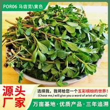 �{��N�����l �R�X�{�N�� ���в��L�����巽�ݹ��Ӳ����K��Λ�Ʋ�