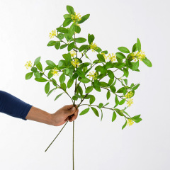 仿真植物葉材帶果冰島仙果葉尤加利葉帶米翠果 北歐ins仿真花假花