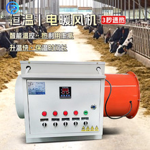 ���Iȼ��ů�L�C�Bֳ�������ȡů�O��܇�g����e�ů�L�C