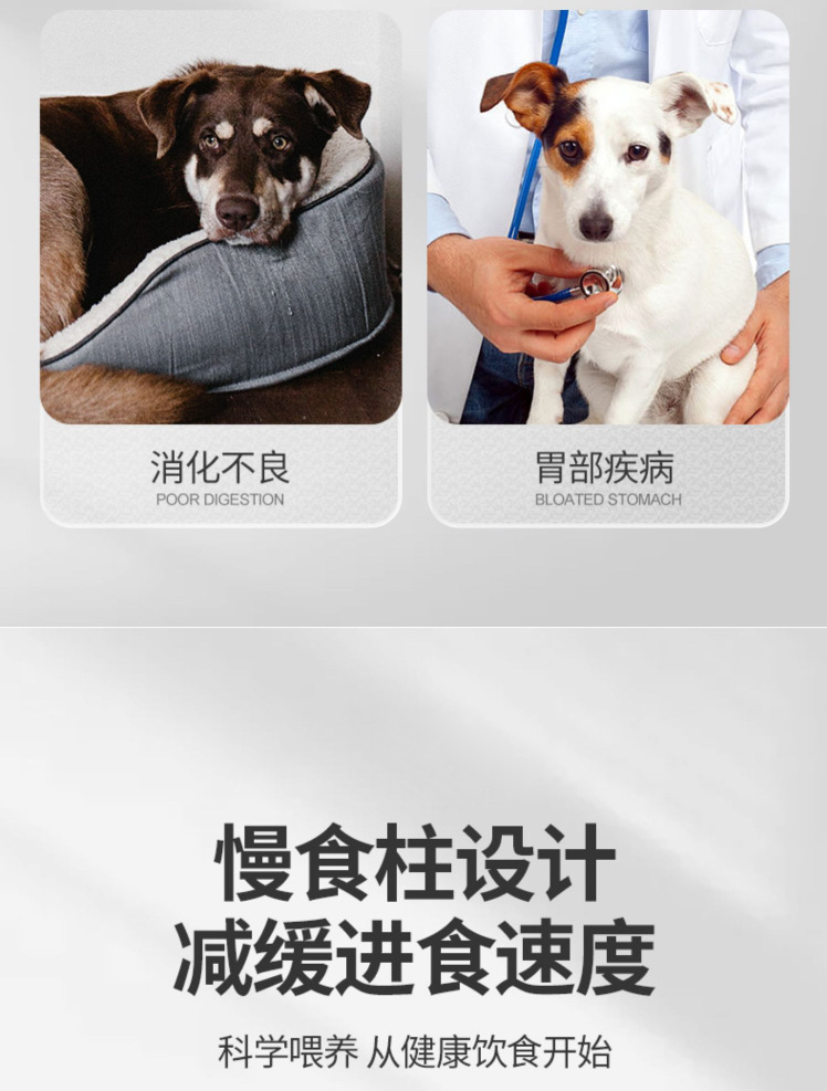 狗狗慢食碗狗碗狗盆_03.png