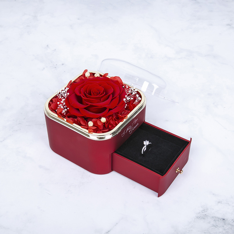 빨간색; 목걸이 없음