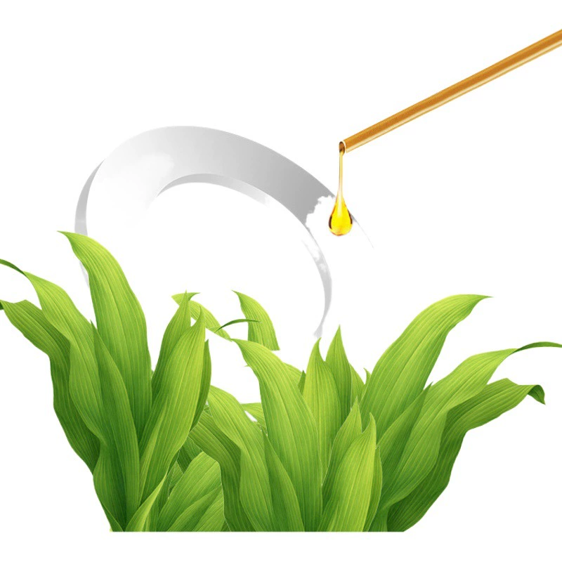 Star Solar Ароматерапия Автомобиль Ароматерапия Дополнительная Ароматерапия