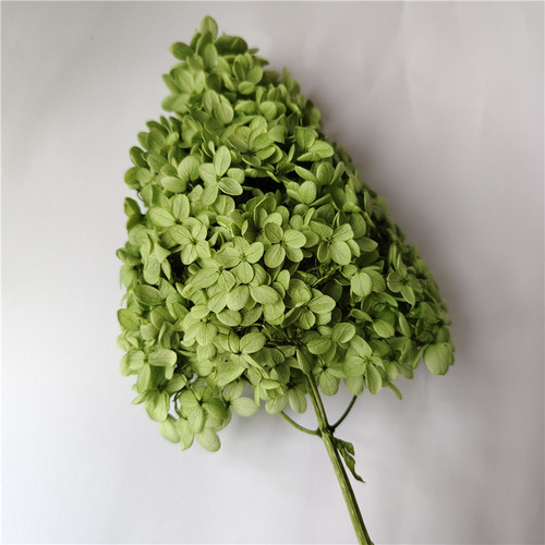 Single wooden hydrangea Nordic style home decoration Yunnan eternal flower dried flower bouquet wedding arrangement hydrangea flower material