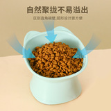 Кожа высокой кошки 风 高 高 高 高 高 高 高 高 高 高 高 高 高 против перегруженного пластика плюс высокий шейный спондилоз ПЭТ