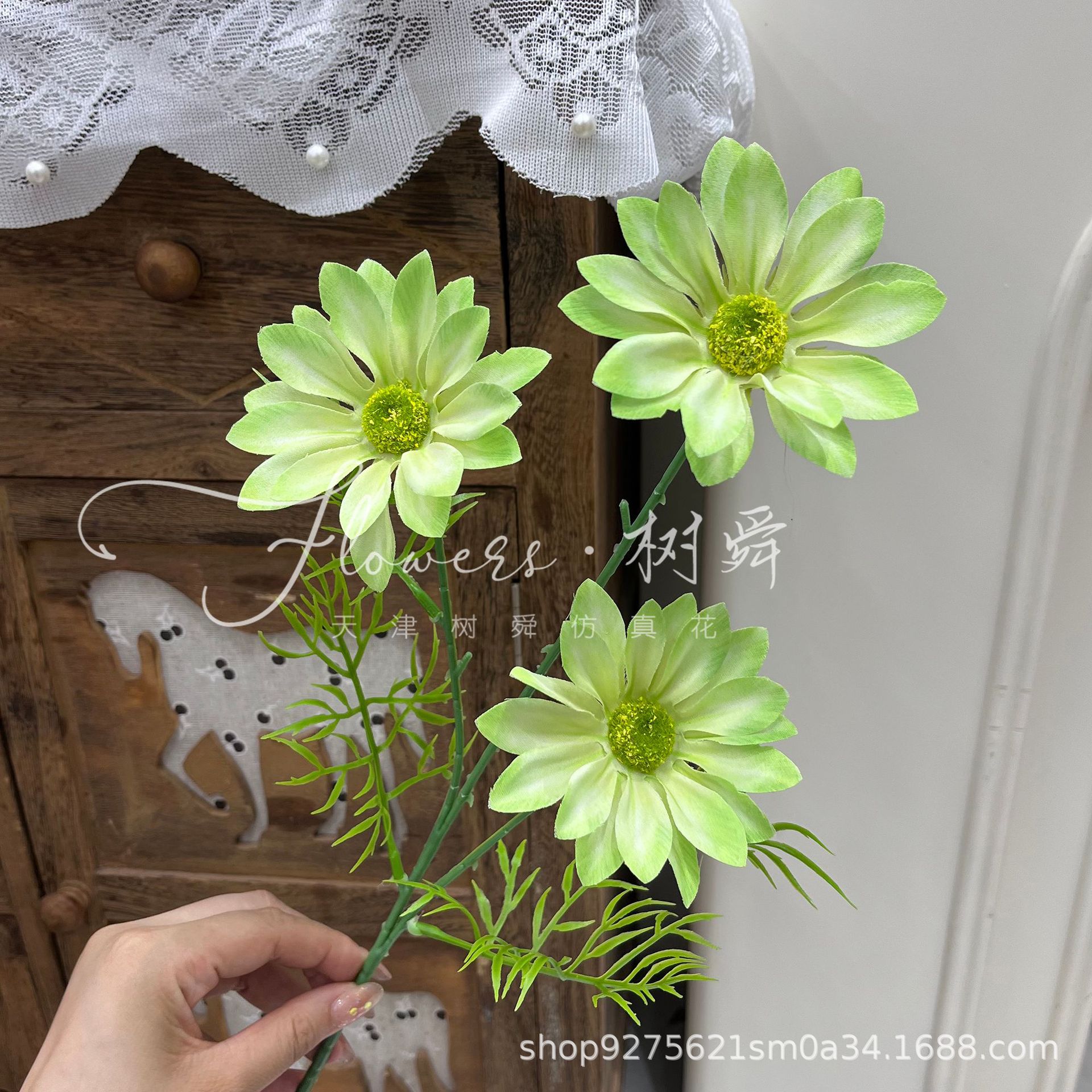 Crisantemo de verano 3d-verde claro