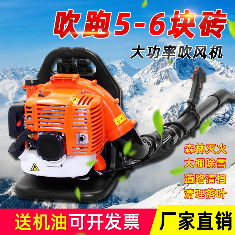 Yingqi ventas directas de fábrica mochila gasolina secador de pelo de efecto invernadero soplador de nieve camino de limpieza extintor de viento