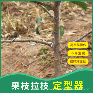m型果树拉技器压枝器苹果柑橘拉枝神器树枝定型器拉直器M型钉挂钩-阿里巴巴
