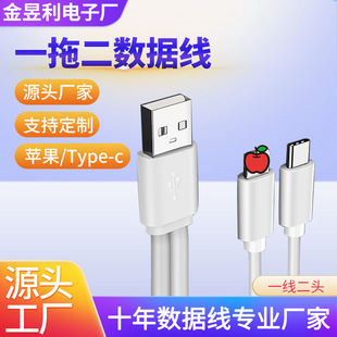 20cm One-To-Two Data Cable, Two-To-One Fast Charging Cable, Factory Charging Cable Suitable for Power Bank, Apple Micro Power
