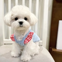 犬猫用ペット服 テディプードル ビションシュナウザー ポメラニアン 小型犬 夏用薄手キャミソール