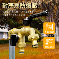 唐科黑金全銅龍頭洗衣機水龍頭雙出4分戶外防凍家用快開水嘴批發