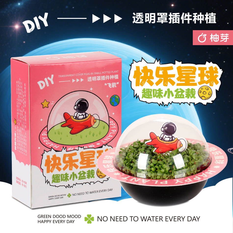 快乐星球迷你植物小盆栽桌面小学生种植绿植幼儿园礼物种子批发