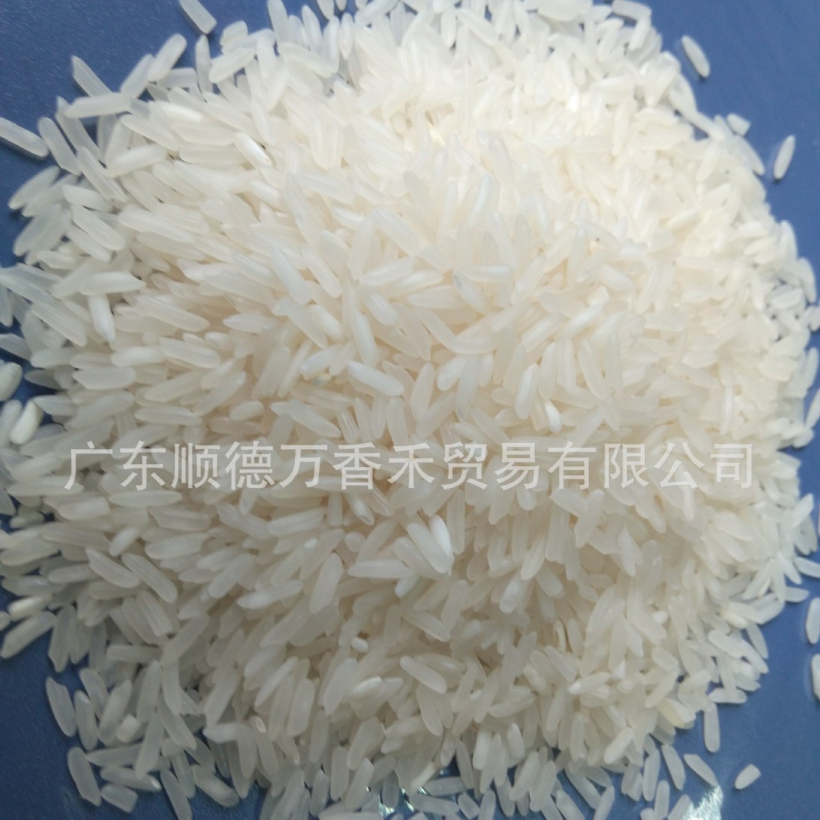 进口优质大米泰国白米泰国香米茉莉香米大米批发供应
