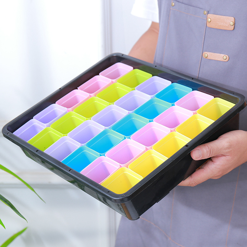 Maceta pequeña colorida para suculentas transpirable