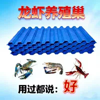 2026 white dew season breeding house structure & lobster nest buying guide | insulation for enhanced egg production