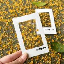 �𻨕����˱��ɻ����������ֹ�diy���ϰ�͸��ֲ����~�W��������