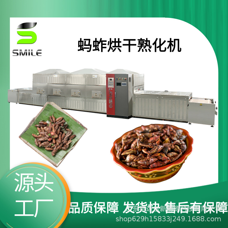 蚂蚱微波烘干设备 面包虫微波膨化设备营养不流失产量大