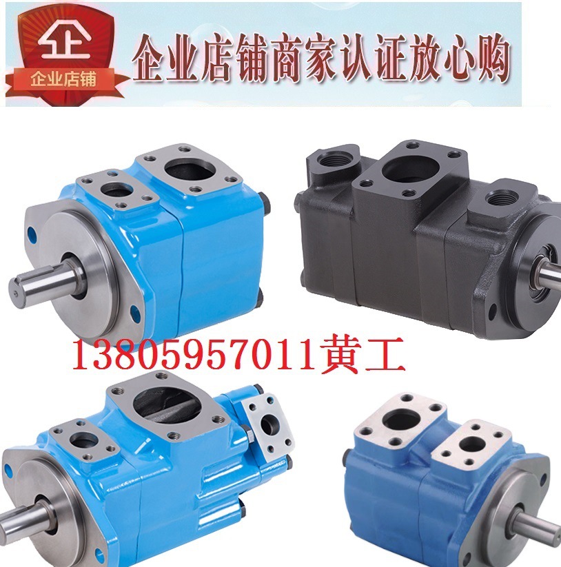 HONGYI叶片泵20VQ10A 20VQ11A-1A30R 1B30R 1C30R 1D30R 151