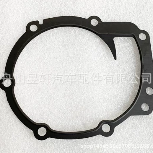 OE: 24880239 gasket