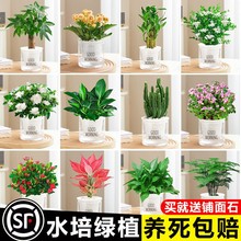 G}jlؔk҃滨СGֲ͏dֲˮl