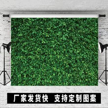 �羳���R�d�����Ɍ��Ĕz�������G��Ƥ�����ձ�������ϩ�����Q؛Դ