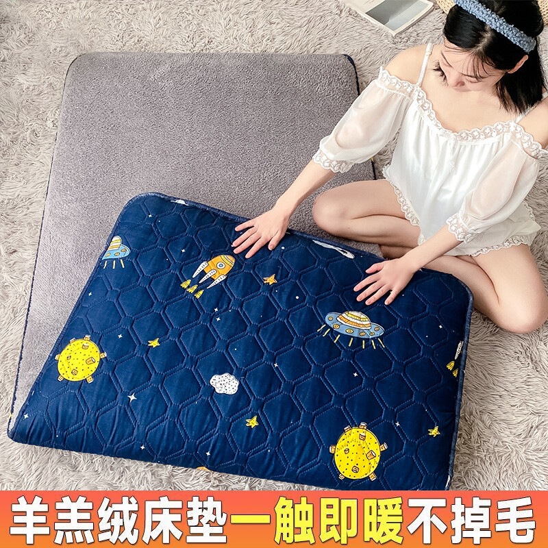 Autumn and winter student double-sided bed mattress pad, single-person lamb wool dormitory warm mattress, thickened soft mattress pad, sleeping pad