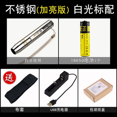 LED flashlight-style egg inspection light, strong cold light, fully automatic, for inspecting small eggs and turtle incubation (UV fənərlər) - stainless-steel-polished-version-standard-configuration-comes-with-a-flashlight-case