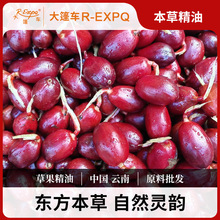 �ݹ�����ԭ�����l�����o���{�㰴Ħ����Grass fruit����܇����