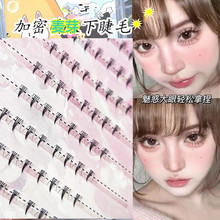 ������ѿѿ�����½�ë�δ���Ȼ���R���֝��ܰűȻ��y���W���ٽ�ë