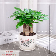 lؔ҃ȿ͏dGֲС辰lؔؔȩֲ