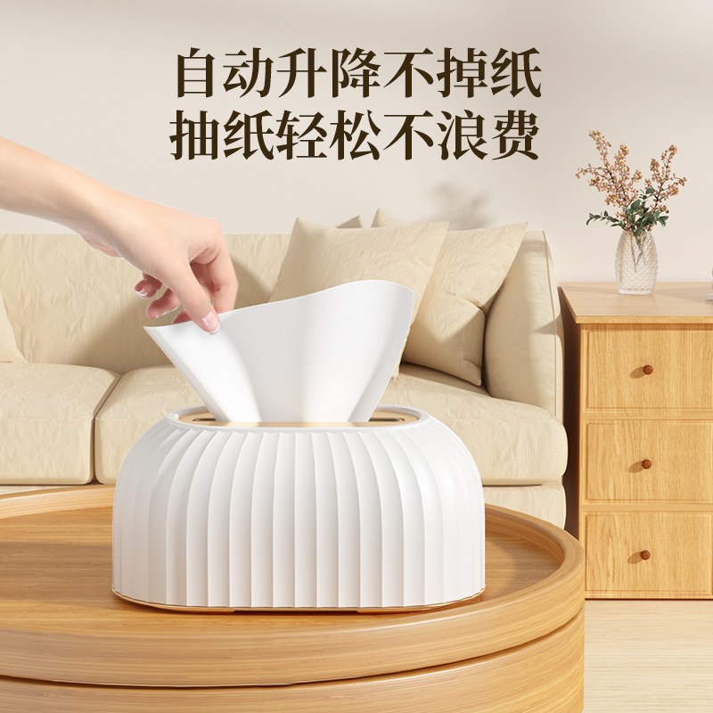 Caja de pañuelos extraíble para el hogar de alta apariencia con luz de almacenamiento estilo de lujo sala de estar escritorio avanzada caja de pañuelos de primavera