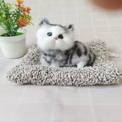 Aktiv kömürlü qoxu uducular Cat Scenic Spot Ornaments Birthday - cyan-little-crooked-cat-length-16cm-height-14cm
