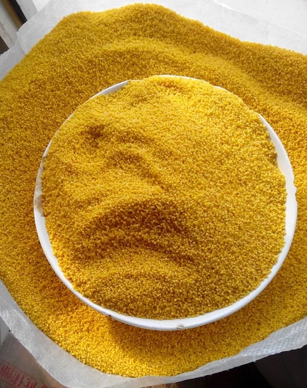Fine yellow millet small and medium-sized parrot feed bird food new arrival millet tiger skin black phoenix peony large grain millet