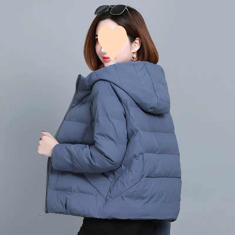 Short demi-season fashionable down jacket with hood