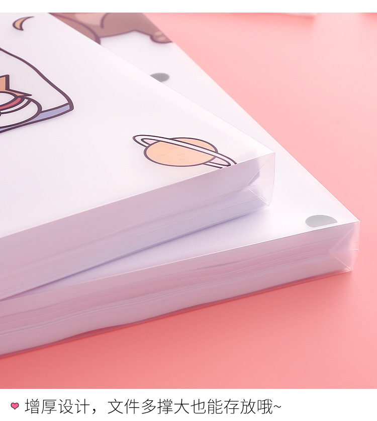 Cute Transparent Large Capacity Portable File Bag
