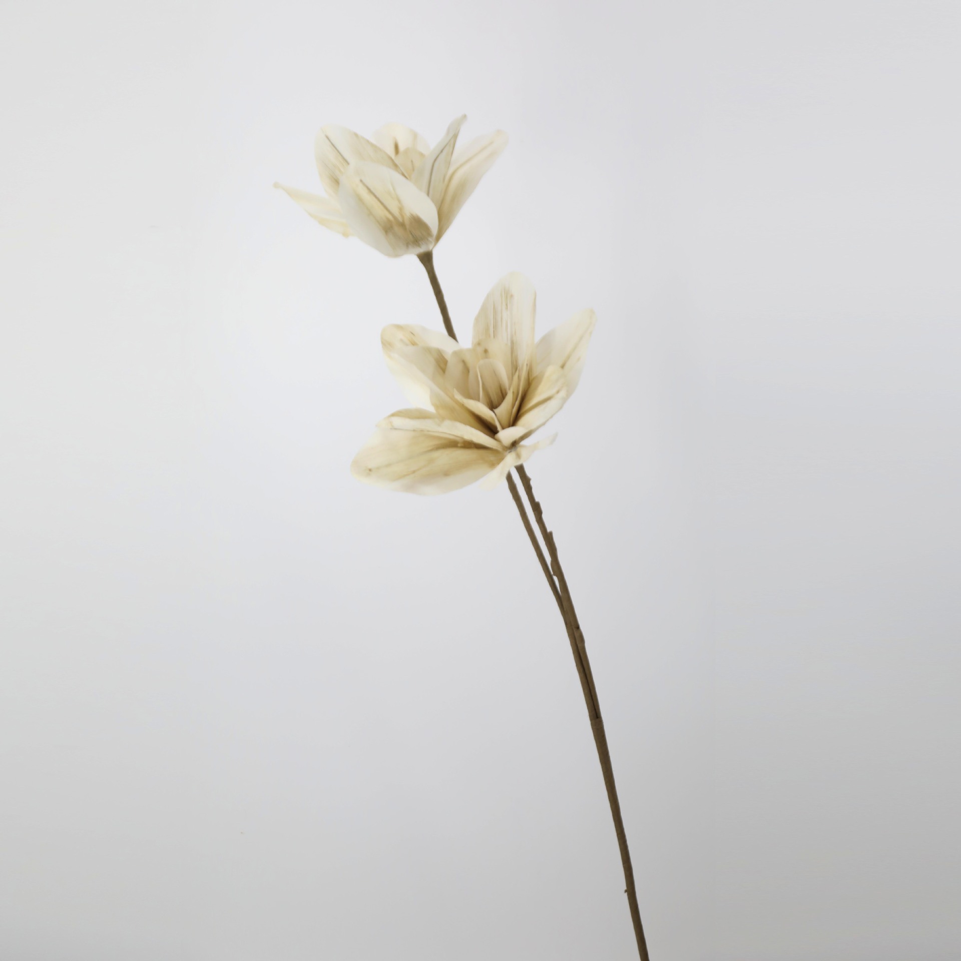 Simulación de PE flor seca suave flor de diseño de boda decoración del hogar insertar flores de decoración de escritorio de viento minimalista
