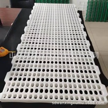 鸡粪板成鸭塑胶地板 漏粪地板图片 畜禽漏粪地板