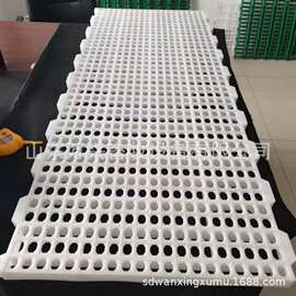 鸡粪板成鸭塑胶地板 漏粪地板图片 畜禽漏粪地板