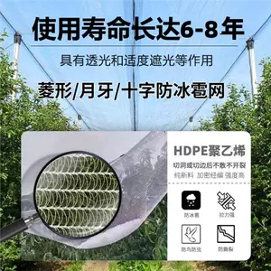 [防雹网果园防鸟网防护网农业大棚种植0.5孔0.8防冰雹聚乙烯网全新]