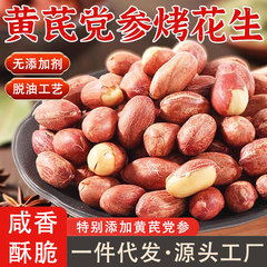 五香黄芪党参烤花生 烘烤花生 休闲零食炒货下酒解馋独立包装便携