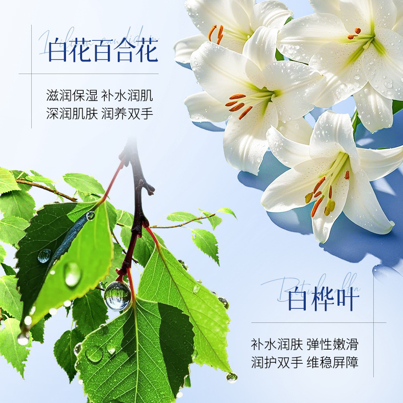 Lan Shi Zhe, crema de manos humectante anti-seco, suave, hidratante anti-seco, crema de manos anti-arrugas
