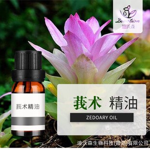 �Ჴ��ݭ�g����Zedoary turmeric Oil ݭ�g��ֲ��η����ͱ�����